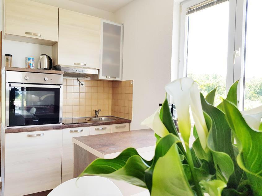 Talija Apartments Krimovica Budva Extérieur photo